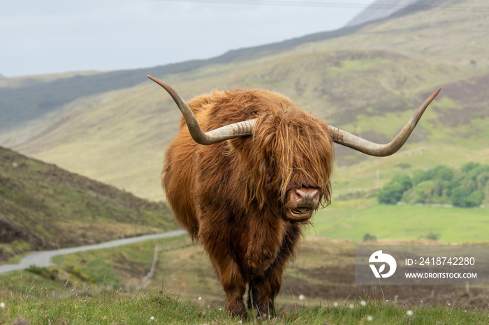 Isle of Skye Schottland / Highlander