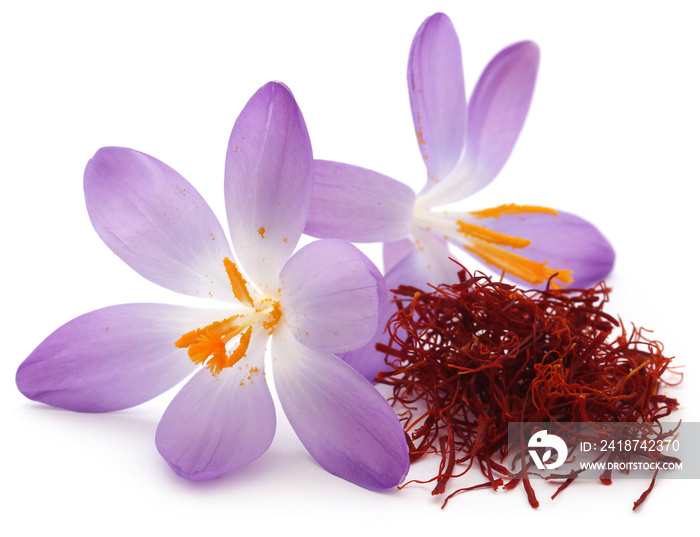 Saffron with crocus flower