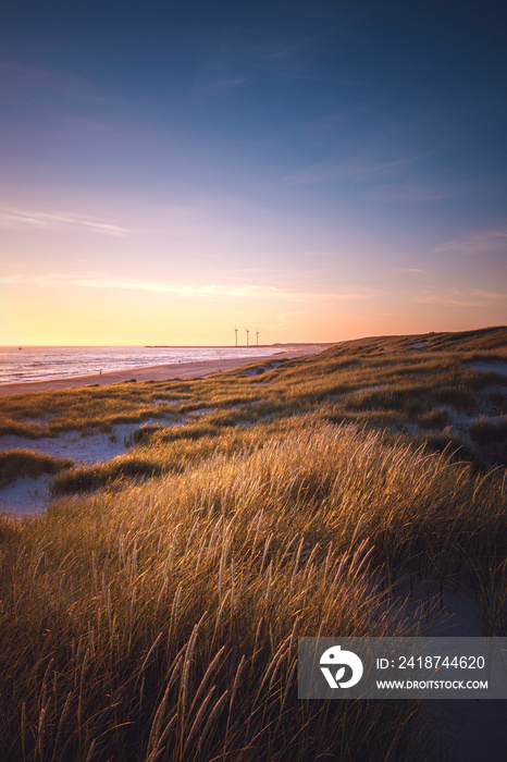 Die Dünen an der Nordseeküste im Abendlicht, in der Ferne die Hafeneinfahrt von Hvide Sande