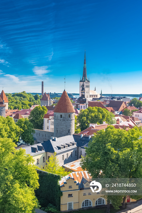 Tallinn in Estonia, panorama of the medieval city with Saint-Nicolas church, colorful houses and typ