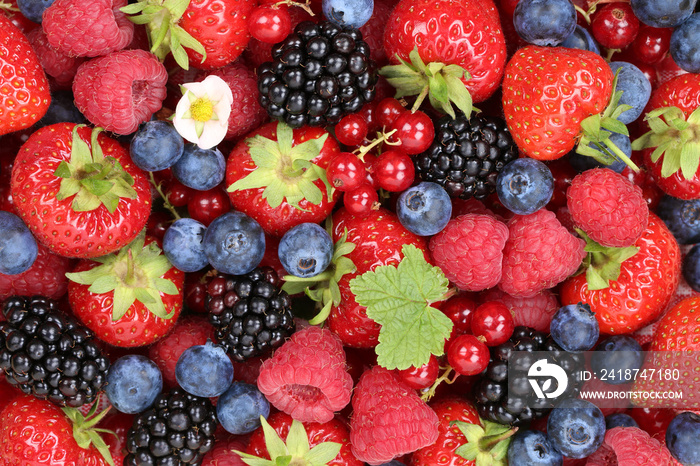 Beeren Früchte Hintergrund mit Erdbeeren, Himbeeren und Brombee