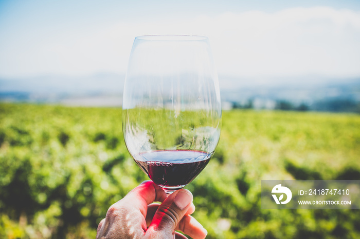 Schöner Shiraz Rotwein in Südafrika in der Region Stellenbosch