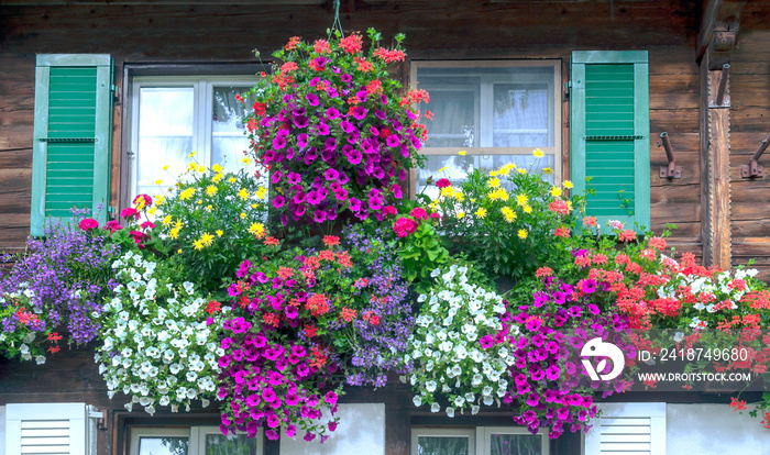 Flores en la ventana