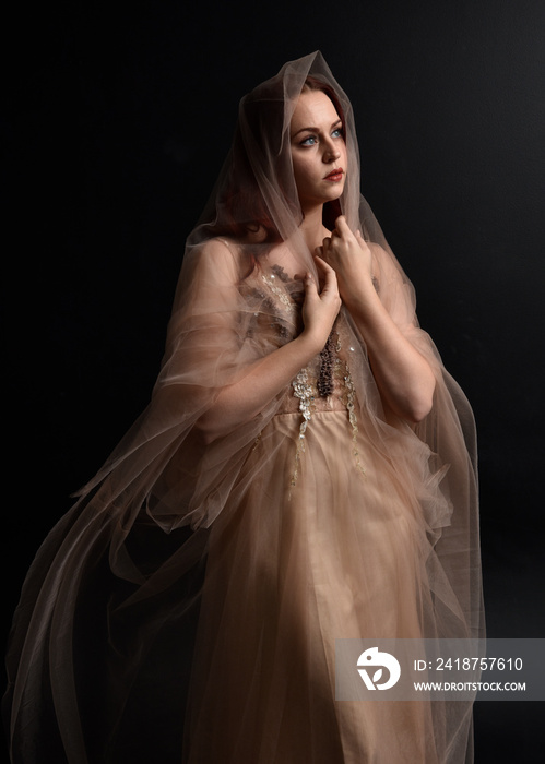 portrait of pretty female model with red hair wearing glamorous fantasy tulle gown and crown.  Posin