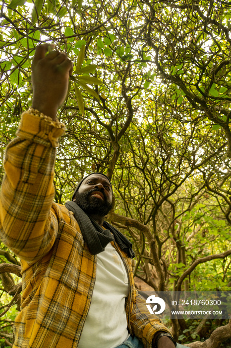 Low angle view of man reaching for leaf on tree in park in autumn