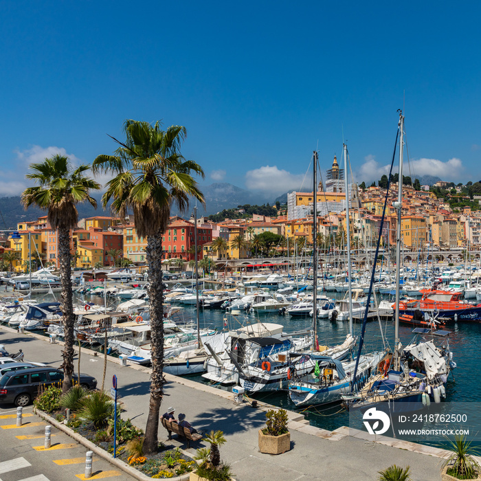 View of palm tree and harbor with boats in Menton on French Riviera. Provence-Alpes-Cote dAzur, Fra