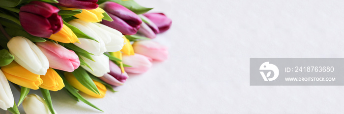 白色背景上粉色、黄色、紫色和白色郁金香的花束俯视图。带有复制品的横幅