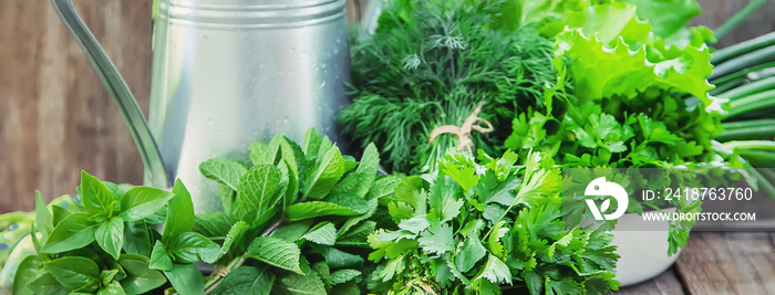 Fresh homemade greens from the garden. Selective focus.