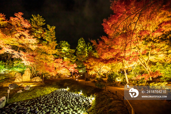 宝厳院の紅葉　夜間特別拝観