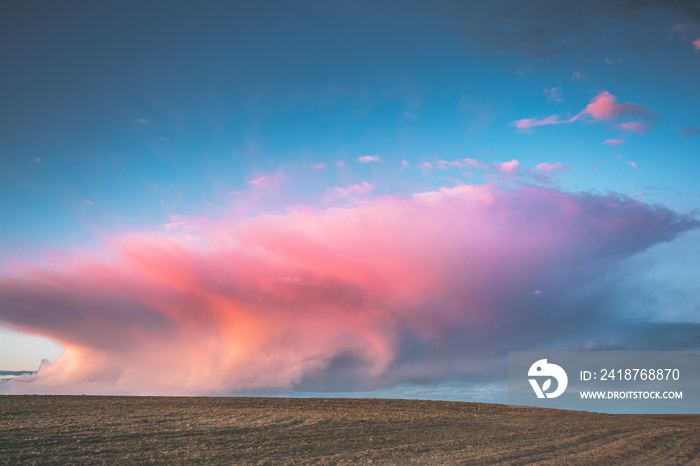 Spring Field At Evening Sunset. Morning Natural Bright Dramatic Sunrise Sky Above In Pink Colours Ab