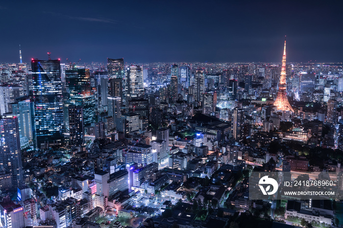 東京都心夜景