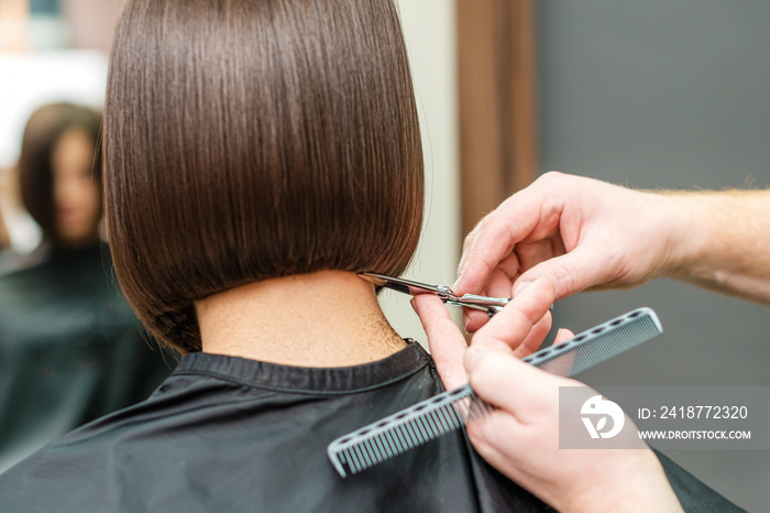 Hands of professional hair stylist is cutting hair tips with scissors and comb. Close up hairstyle. 