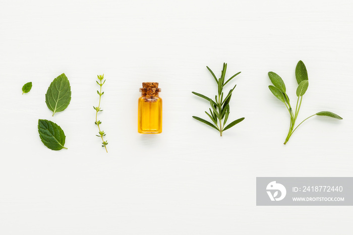 Bottle of essential oil with  fresh herbal sage, rosemary, thyme