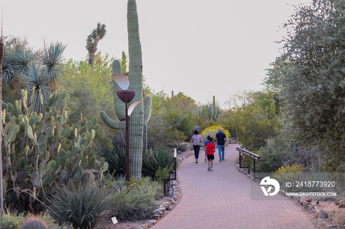 Desert Botanical Garden is a 140-acre botanical garden located in Papago Park, at 1201 N. Galvin Par