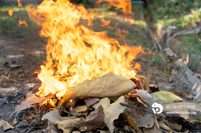 Flames from burning waste, dry leaves cause smoke, dust, air pollution causes. Concepts of airborne 