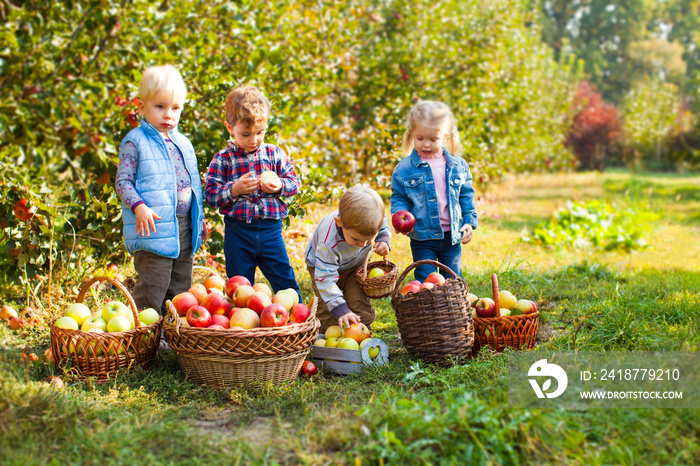 两个孩子在秋天的果园里手里拿着苹果