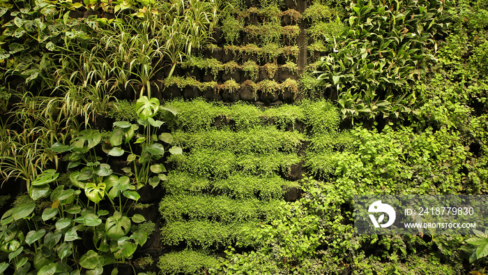 Jardín vertical, Centro cívico de Tabacalera, Santander, Cantabria, España