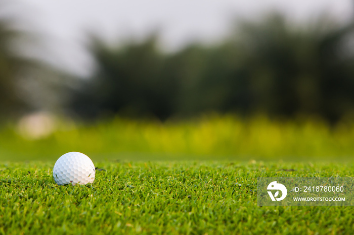 Green grass with golf ball close-up in soft focus at sunlight. Sport playground for golf club concep