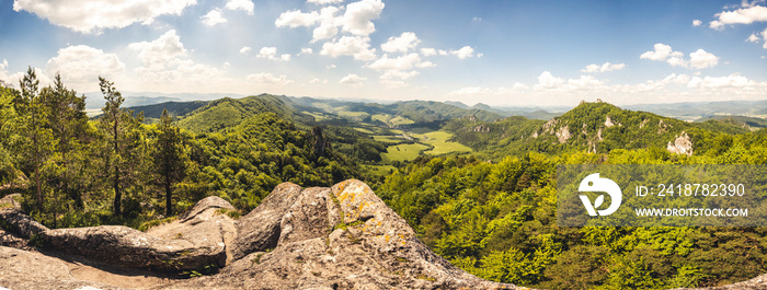 苏洛夫在夏天与森林一起岩石。斯洛伐克的苏洛夫岩石自然保护区