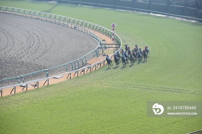 中山競馬場