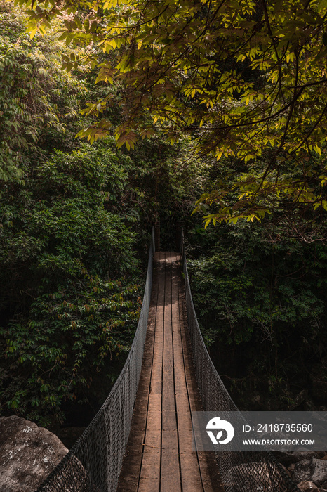 Ilhabela, São Paulo, Brasil: Ponte na travessia da trilha para Praia do Bonete