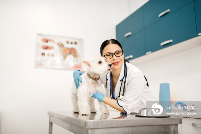 Cheerful vet hugging cute white dog after examination