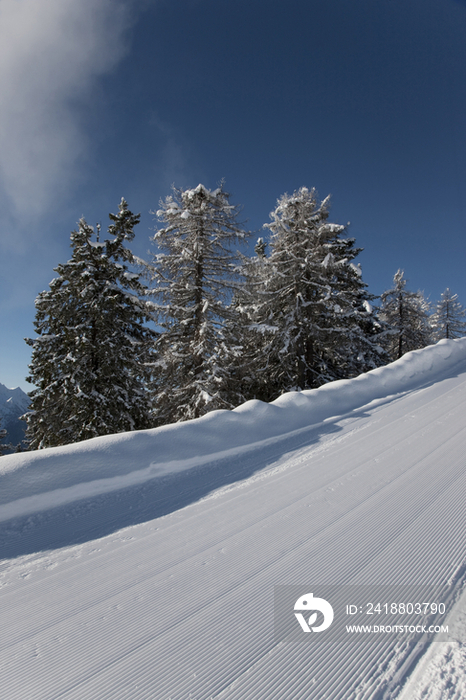 Italy, Piedmont, Val Vigezzo, Ski Slope