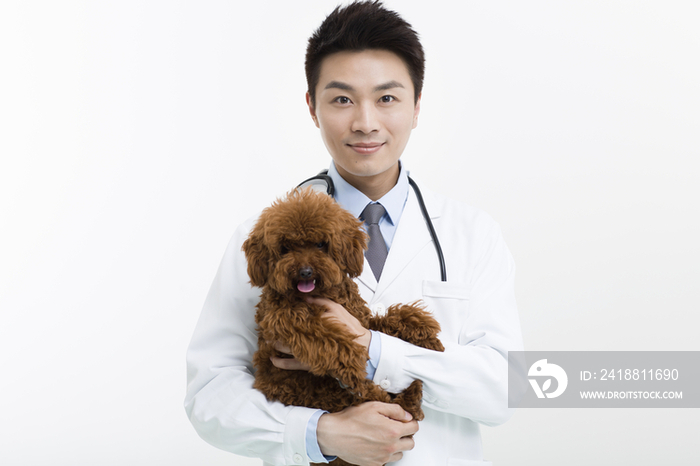 宠物医生抱着一只可爱的泰迪狗