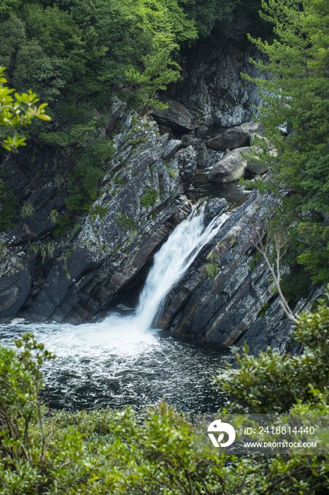 Toroki Falls,Yakushima,Kagoshima,Japan