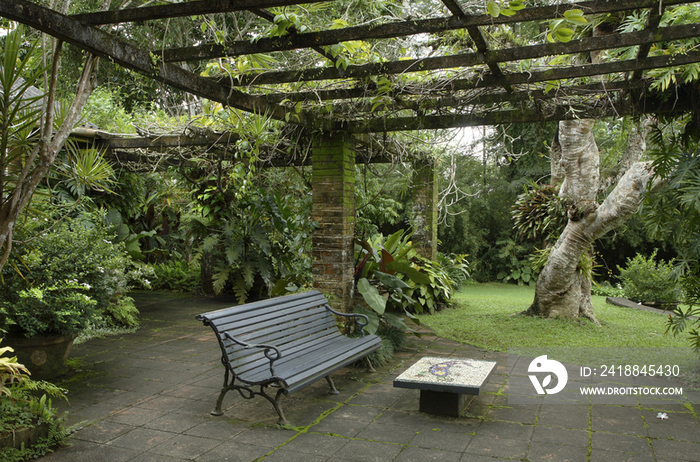 Brief Garden, Kalawila, Sri Lanka - Garden developed by Bevis Bawa 1909-1992 around the bungalow of