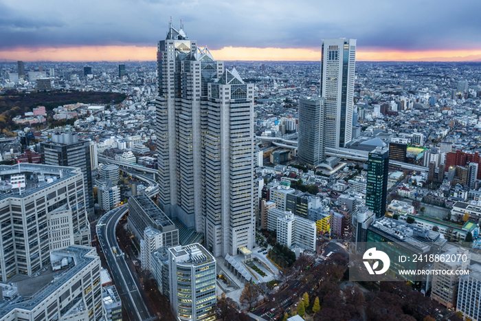 High rise buildings in Shinjuku,Tokyo,Japan