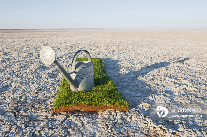 Water Pail on Strip of Grass