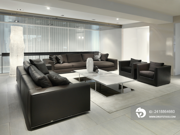 Sofas and coffee table in modern living room