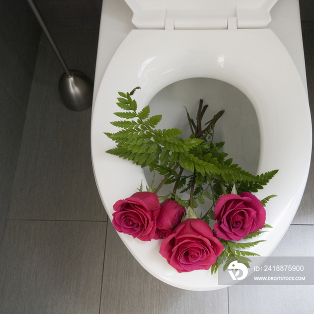 Roses in a Toilet