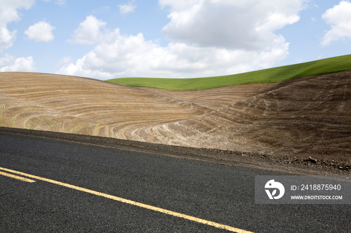 Wheat Field and Road, Palouse, Washington