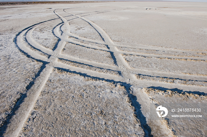 Tire Tracks in the Dirt