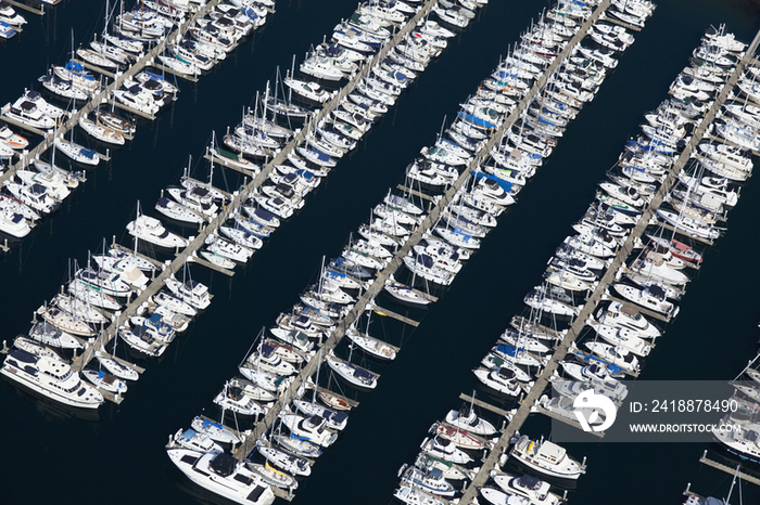 Boats in a Marina