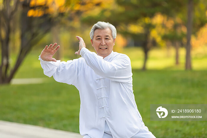 老年男子在公园练太极