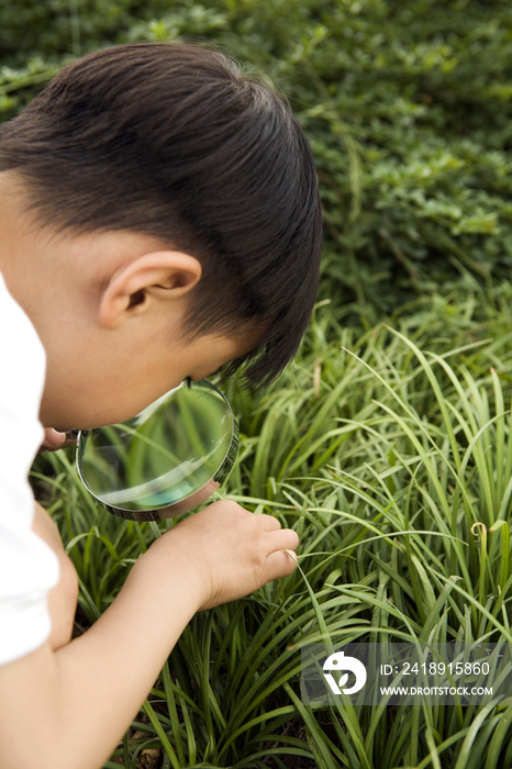 小男孩拿放大镜观察植物