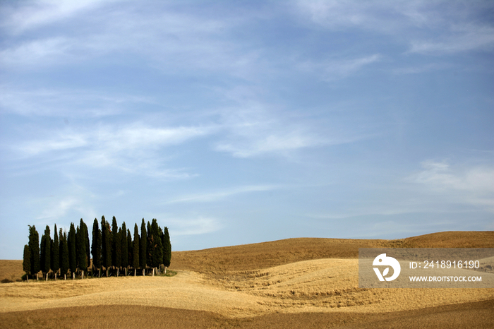 Italy, Tuscany, Orcia Valley, Siena Province, countryside