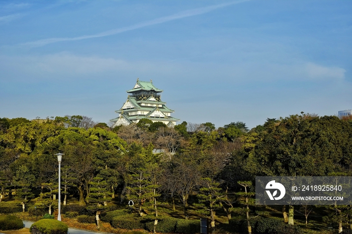 日本大阪城建筑风光