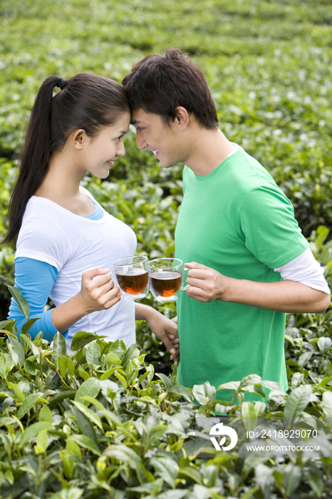 青年男女在茶园喝茶