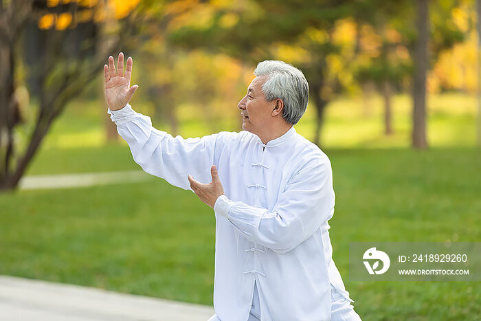 老年男子在公园练太极