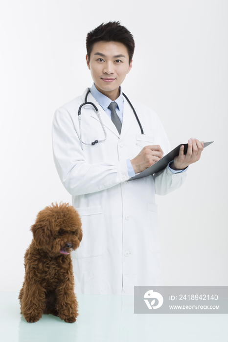 宠物医生给泰迪狗做检查