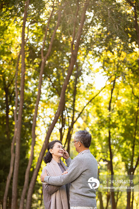 甜蜜的老年夫妇