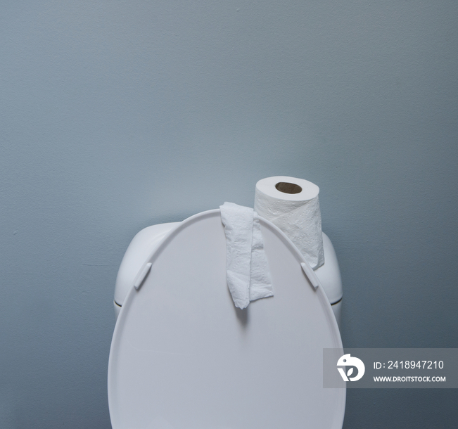 Roll of Paper on a Toilet