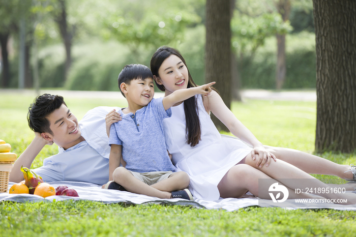 快乐的年轻家庭在草地上野餐
