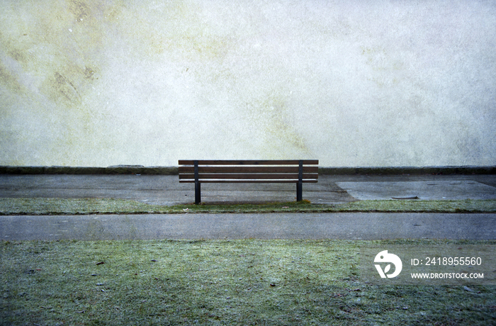 Lone park bench in Stanley Park, Vancouver, BC, Canada