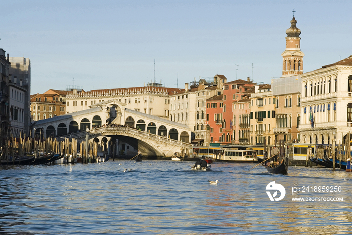 Italy, Veneto, Venice, Rialto bridge on Canal Grande