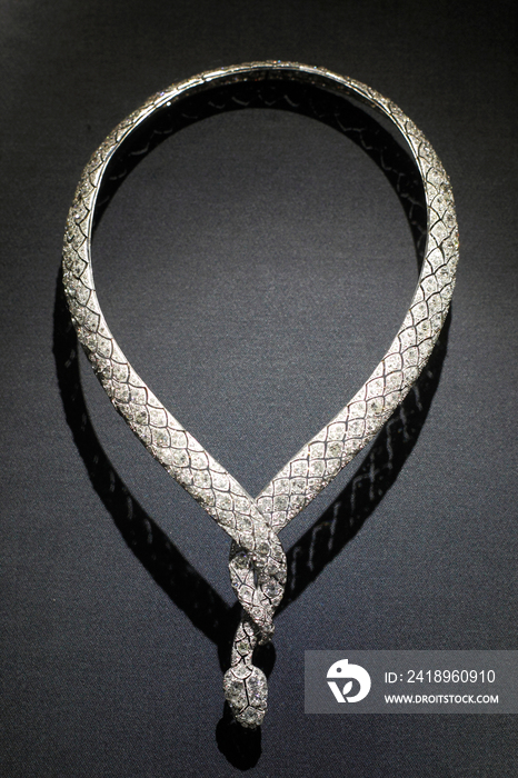 蛇形项链